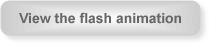 View Flash Animation